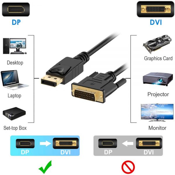 FS12006 Câble adaptateur DisplayPort vers DVI