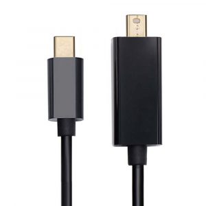 Mini DP to USB C Adapter