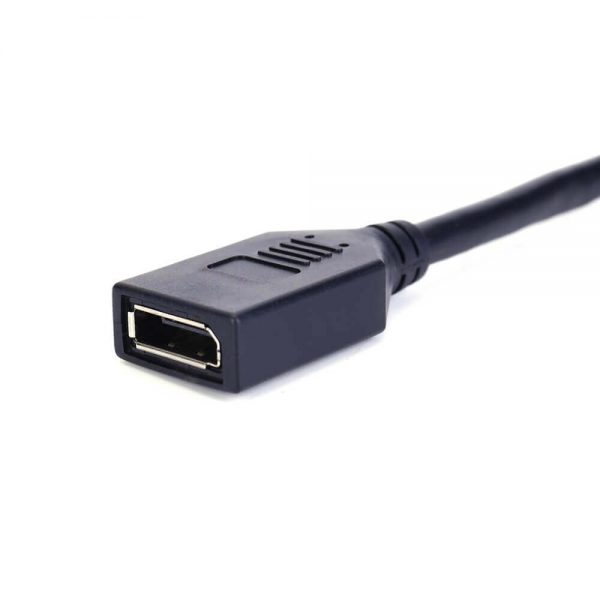 FSP2002 DisplayPort-Kabel für Panelmontage