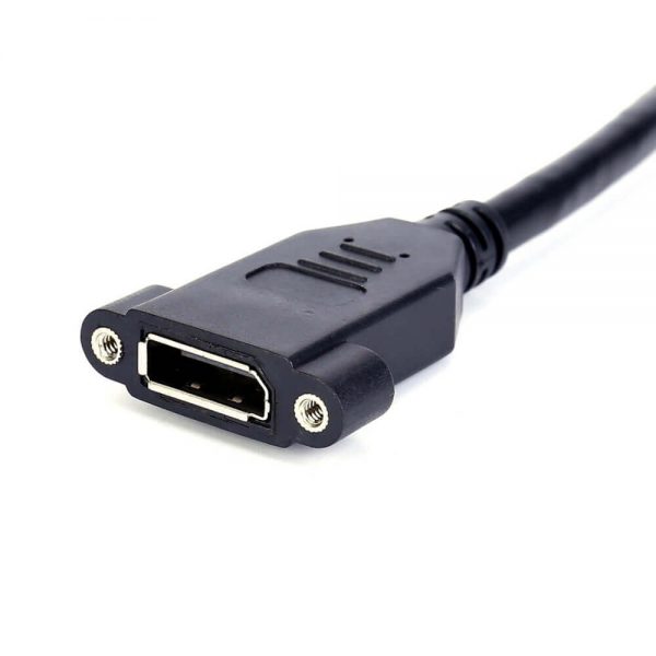 FSP2002 Câble DisplayPort pour montage sur panneau