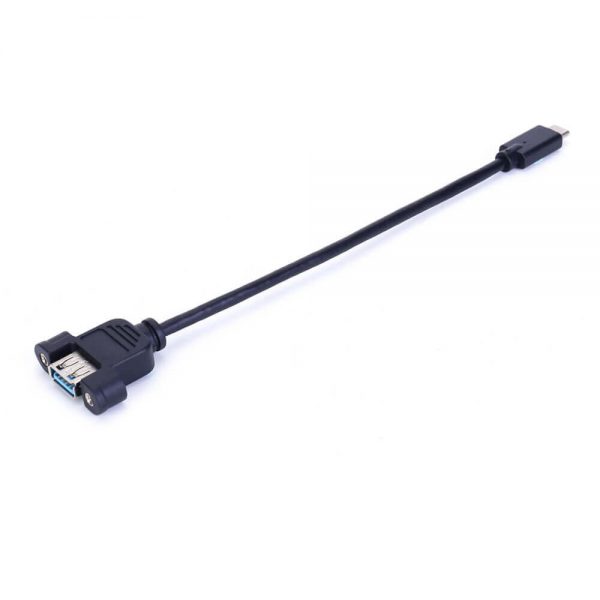 FSP3014 Câble d'extension USB-C vers A 3.1 pour montage sur panneau