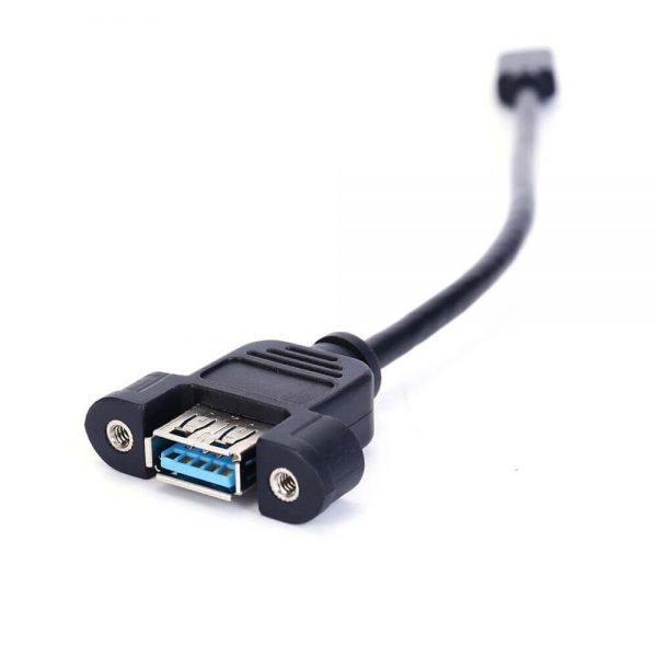 FSP3014 Câble d'extension USB-C vers A 3.1 pour montage sur panneau